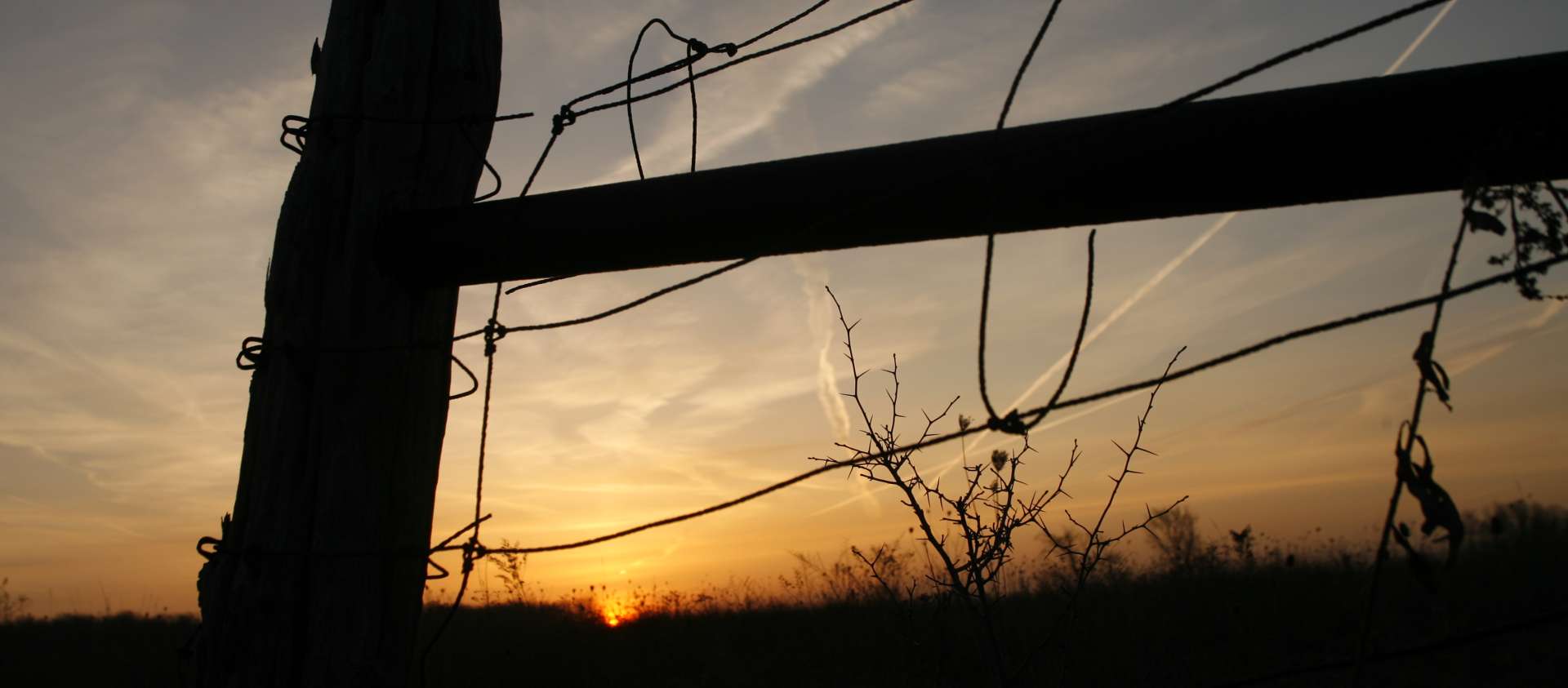 Fence Post at Sunset