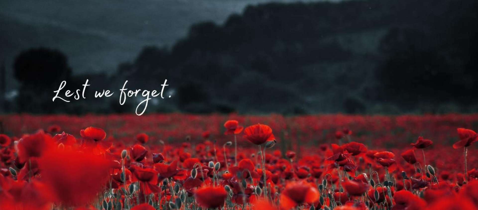 Picture of a poppy field with "Lest we forget"