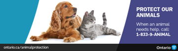 Picture of Dog and Cat with number for animal cruelty